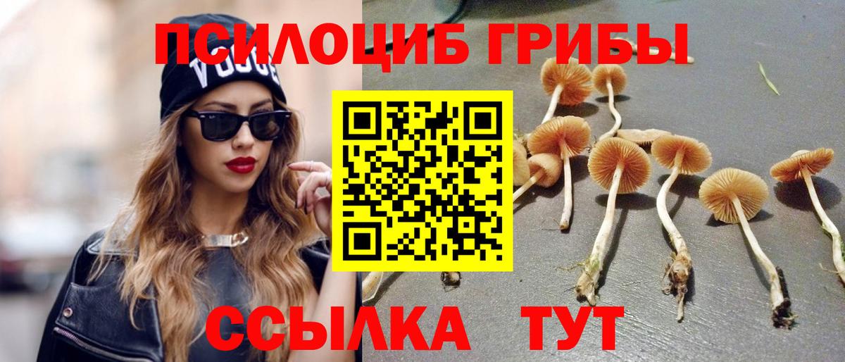 Псилоцибиновые грибы мицелий Ижевск