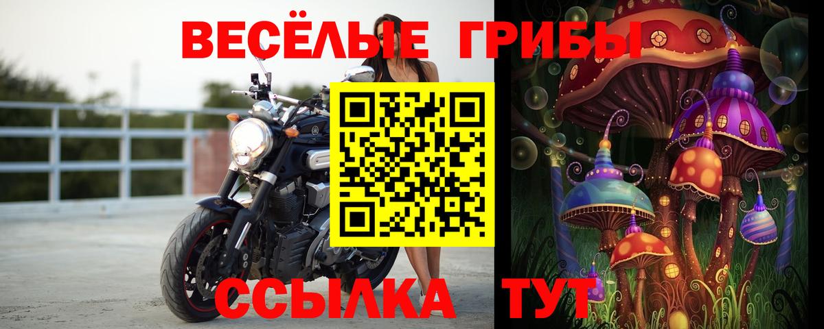 Ижевск  Псилоцибиновые грибы GOLDEN TEACHER  Вход с VPN 